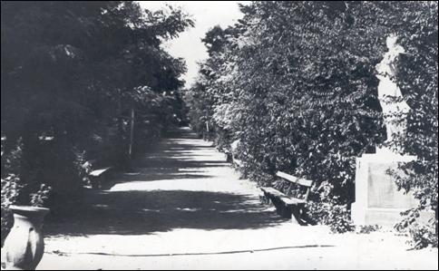 Комсомольская аллея (бывшая Гимназическая). Фото 1940 года.